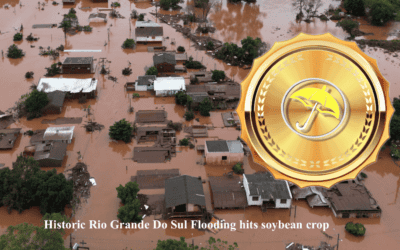(VIDEOS): How new global weather problems, the commitment of traders & chart patterns have reversed trends in some commodities
